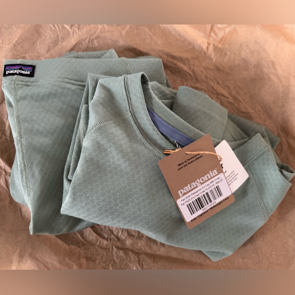 Patagonia capilene thermal M 10 top and bottom in Sage Green